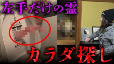 【七四六家】トイレにいる左手だけの霊の体を探してみた【心霊】【秩父邸】