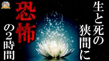 【怪談YouTuberルルナル】生と死の狭間に 【恐怖】 恐怖の夜 【怪談,睡眠用,作業用,朗読つめあわせ,オカルト,ホラー,都市伝説】本編四百五十五