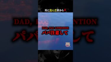 【ごまだんごの怪奇なチャンネル】川に沈んだ車から声　#ホラー #horror