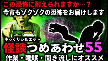 【ゆっくりシルエット】【怖い話】怖すぎてごめんなさい…怖い話つめあわせパート55【ゆっくり】