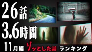 【ごまだんごの怪奇なチャンネル】【怖い話】2024年11月 ゾッとした話ランキング【怪談/朗読つめあわせ】