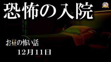 【怪談YouTuberルルナル】こんな事って… 【怖い話】 お昼の怪談 12月11日 【怪談,睡眠用,作業用,朗読つめあわせ,オカルト,ホラー,都市伝説】