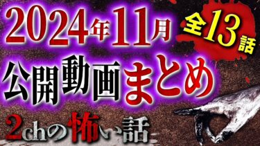 【フシギミステリー倶楽部】【2chの怖い話】 全13話 2024年11月の公開動画総まとめSP【洒落怖・朗読】【テーマ別】