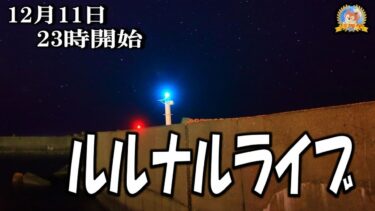 【怪談YouTuberルルナル】２３時開始　ルルナルライブ２０２４１２１１