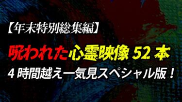 【ホラーチャンネル】【年末特別総集編】呪われた心霊映像52本　4時間越え　一気見スペシャル版！