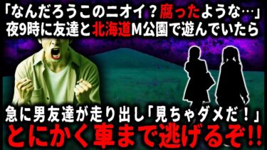 【ゆっくりシルエット】【怖い話】北の大地の有名なM公園に夜遊びに行ったら汚水のような匂いがしてきて…⇒実はその公園は昔…【ゆっくり】