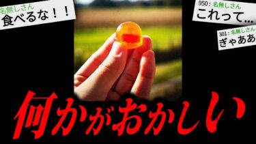 【やがみ2chスレ解説】【あかん】あまりにも不可解な怖すぎる話「村で変なアメもらった」