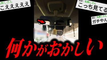 【やがみ2chスレ解説】【閲覧注意】あまりにも不気味な怖すぎる話「後部座席の女」