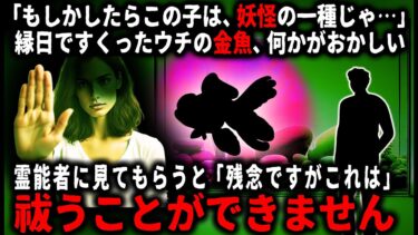 【ゆっくりシルエット】【怖い話】「この子は祓えない。なぜなら…」ある時を境にウチの金魚の様子が何かおかしくなり…霊能者に相談したら…【ゆっくり】