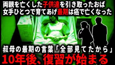 【ゆっくりシルエット】【怖い話】全部見てたから•走馬灯【ゆっくり】