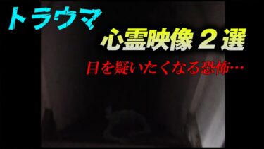 【ホラーチャンネル】【期間限定公開】トラウマ心霊映像2選！目を疑いたくなる恐怖！