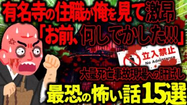 【ハム速報】【ゆっくり怖い話】有名寺の住職が俺を見た瞬間激昂「お前、何しでかした！？」→大量死亡事故現場への肝試しがヤバすぎた…総集編【オカルト】