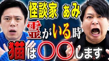 【好井まさおの怪談を浴びる会】【怪談家ぁみ】霊感があるのは人だけじゃない、、、猫にまつわるちょっと変わった怖い話