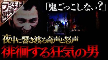 【フシギミステリー倶楽部】【衝撃事件】｢ねぇ鬼ごっこしない？｣…奇声をあげて家までついてくる男【ナナフシギ】