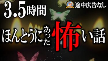 【怪談YouTuberルルナル】途中広告なしの3.5時間！ 【睡眠導入/怖い話】 ほんとうにあった怖い話 特別号 【怪談,睡眠用,作業用,朗読つめあわせ,オカルト,ホラー,都市伝説】