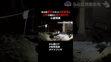 【ナナフシギ】埼玉県最恐スポット「岳集落」人形が勝手に揺れ続ける心霊現象 #心霊ロケ #怪奇現象 #ナナフシギ