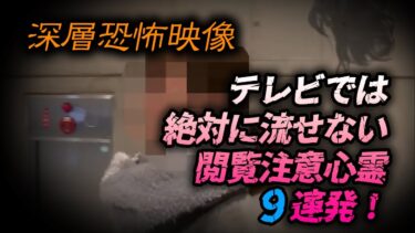 【ホラーチャンネル】【YouTube特別編集版】テレビでは絶対に流せない閲覧注意心霊9連発！！