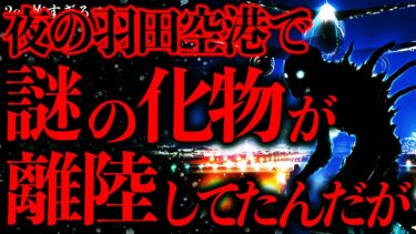 【進化したまーくん】【マジで怖い話まとめ112】夜の羽田空港の滑走路に何かいる→その正体がわかった時、背筋が凍った…【2ch怖いスレ】【ゆっくり解説】