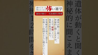 【りっきぃの夜話】遺体が動く！？　死後硬直と解硬　誰かにきっと教えたくなる怖い雑学 #shorts #ショート #怪談朗読 #怖い話 #怖い雑学