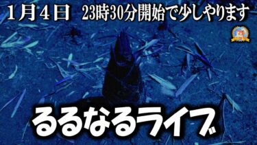 【怪談YouTuberルルナル】２３時３０分から少しやります　るるなるライブ　20250104