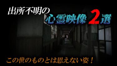 【ホラーチャンネル】【厳選心霊集】この世のものとは思えない姿！出所不明の心霊映像2選！