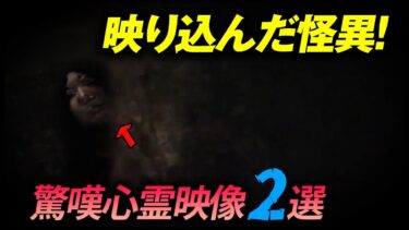 【ホラーチャンネル】【特別編集版】驚嘆心霊映像2選！映り込んだ怪異