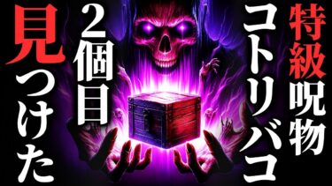 【ゆっくりオカルトQ】【怖い話】伝説の特級呪物『コトリバコ』…２個目が見つかりました…2chの怖い話「山の箱・ベテラン刑事菅沼の胸糞事件ファイル・白い服の女の子」【ゆっくり怪談】