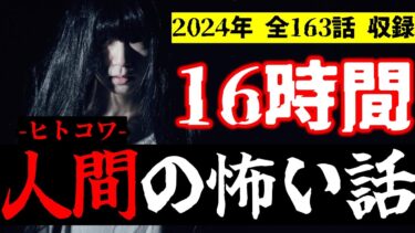 【怪談朗読びびっとな】【怪談朗読】人間の怖い話(人怖) 2024年総集編 全163話ヒトコワつめあわせ 睡眠用・作業用BGM びびっとな