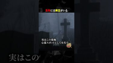 【ごまだんごの怪奇なチャンネル】墓地には幽霊がいる #ホラー #horror