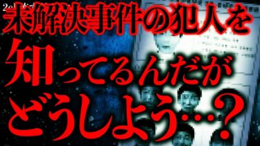 【進化したまーくん】【事件•事故の怖い話まとめ31】ある未解決事件の犯人を知っているんだけどどうしたらいい？→スレが炎上…【2ch怖いスレ】【ゆっくり解説】