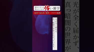 【りっきぃの夜話】地球で最も深い場所　マリアナ海溝　誰かにきっと教えたくなる怖い雑学 #shorts #ショート #怪談朗読 #怖い話 #怖い雑学