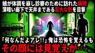 【ゆっくりシルエット】【怖い話】「あの顔、もしかして…」娘の診察で訪れた病院、薄暗い廊下の先に巨大な影が現れたが、よく見るとその顔は…【ゆっくり】