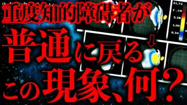 【進化したまーくん】【マジで怖い話まとめ119】重度知的●碍をもつ人が一瞬で”普通の人間になる”意味不明な現象が観測される…【2ch怖いスレ】【ゆっくり解説】