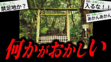 【やがみ2chスレ解説】【トラウマ注意】最後まで聞いたら100%後悔する怖い話「変な山」