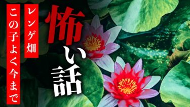 【りっきぃの夜話】【怪談朗読】怖い話 三話詰め合わせ「レンゲ畑」「白い着物を着た昔の女の人」「この子よく今まで」【りっきぃの夜話】