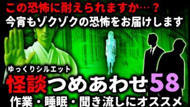 【ゆっくりシルエット】【怖い話】怖すぎてごめんなさい…怖い話つめあわせパート58【ゆっくり】