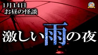 【怪談YouTuberルルナル】【作業用BGM/怖い話】 お昼の怪談 1月14日 【怪談,睡眠用,作業用,朗読つめあわせ,オカルト,ホラー,都市伝説】