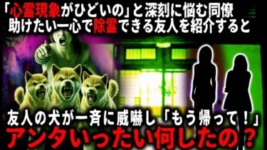 【ゆっくりシルエット】【怖い話】心霊現象に悩む同僚。神社にもお祓い拒否されたようなので、助けたい一心で除霊できる友人を紹介したんだけど…【ゆっくり】