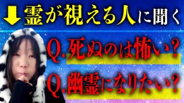 【七四六家】ポップに幽霊が視える人に「死ぬの怖い？」「幽霊になりたい？」と聞いたら、たくさん幽霊を視てきたからこその回答をしてくれた【心霊】