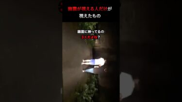 【七四六家】旧佐敷トンネルの心霊映像を幽霊が視える人に見せた結果、視えない3人目がいた【SNS心霊映像検証】