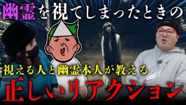 【七四六家】視える人と幽霊に「幽霊に遭遇したときの正しいリアクション・対処法」について教えてもらった【心霊】