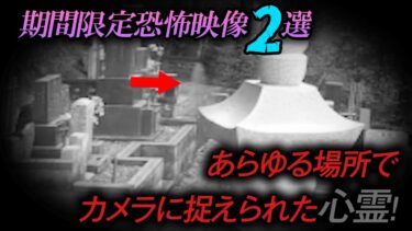 【ホラーチャンネル】【期間限定公開】恐怖映像２選！あらゆる場所でカメラに捉えられた心霊！