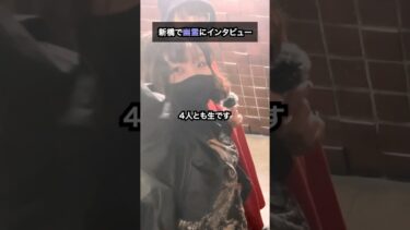 【七四六家】見えないグラスを掲げてたむろっている4人のイケイケ幽霊に話を聞いてみた【浮遊霊インタビュー】