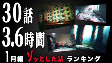 【ごまだんごの怪奇なチャンネル】【怖い話】2025年1月 ゾッとした話ランキング【怪談/朗読つめあわせ】