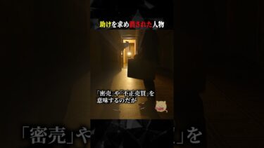 【ごまだんごの怪奇なチャンネル】助けを求め消された人物 #ホラー #horror #都市伝説