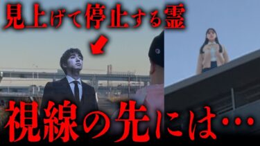 【七四六家】見上げたまま停止している幽霊に話しかけたら、その視線の先にあるマンションの屋上にも幽霊がいて…【心霊】