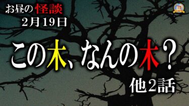 【怪談YouTuberルルナル】【作業用BGM/怖い話】 お昼の怪談2月19日 【怪談,睡眠用,作業用,朗読つめあわせ,オカルト,ホラー,都市伝説】