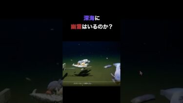 【七四六家】まさかの深海に体育座りで泣いてる幽霊がいた【SNS心霊映像検証】