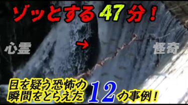 【ホラーチャンネル】【期間限定公開】ゾッとする47分！目を疑う恐怖の瞬間を捉えた12の事例！