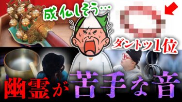 【七四六家】幽霊が苦手な音を検証してみたら、まさかの●●●の音が苦手だったので、今後除霊するときの必須アイテムになりそう【心霊】